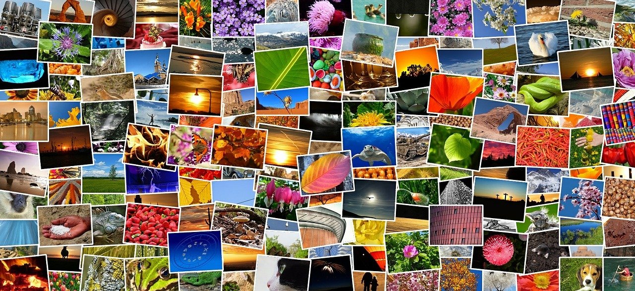 fotografie 